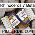 Rhinocéros 7 Bêta 12